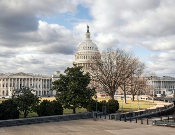 state legislative special sessions plural policy